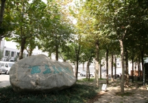 西安美术学院2025年本科招生简章