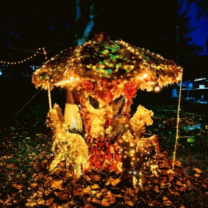 四川美术学院“鎏金拾光”第三届落叶艺术节精彩呈现