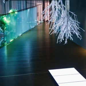 个展丨陈抱阳：无尽的重启